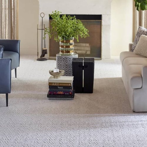 Living Room Pattern Carpet - The Carpet Store in Cleveland, GA