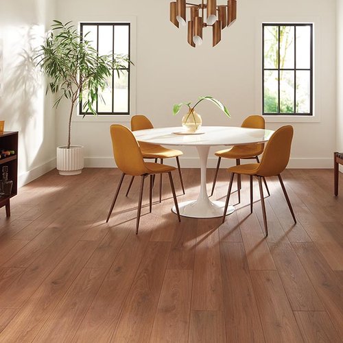 Dining Room Luxury Vinyl Plank LVP -  The Carpet Store in Cleveland, GA